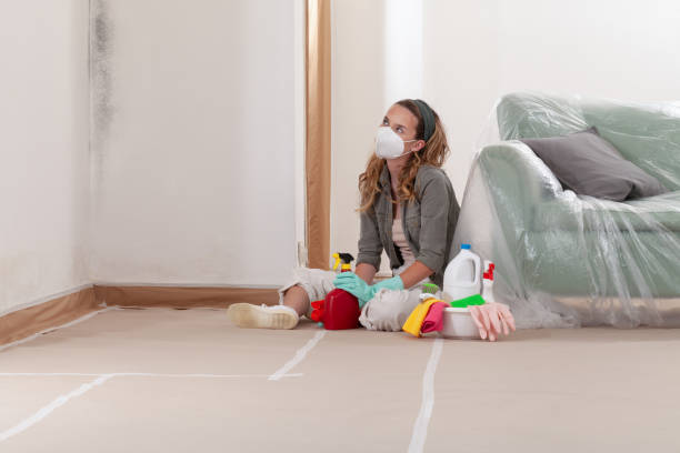 Reliable Mold Testing contractor in Woodbine, NJ by WQB Mold Removal